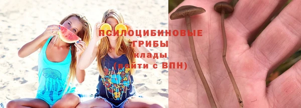 стаф Абдулино