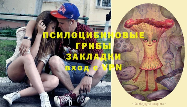 бошки Абаза