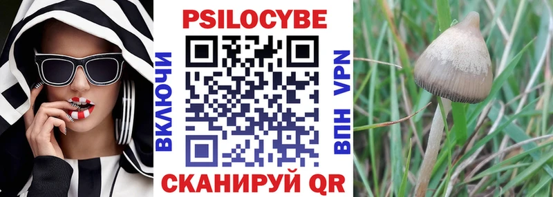 Галлюциногенные грибы прущие грибы  Тайга 